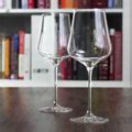 Gabriel Glas Wine Glasses| Stand'Art Universal Wine Glass | Wine Folly