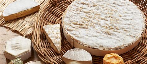 10 Most Popular British Sheep's Milk Cheeses - TasteAtlas