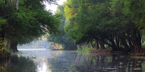 Explore Mexico’s Lake Xochimilco – LakeHub