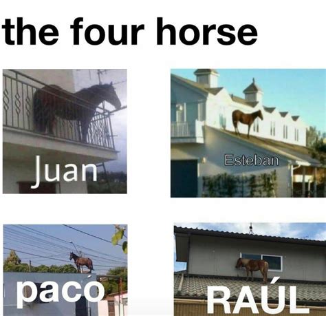 Horse Named Juan Meme - Captions Beautiful