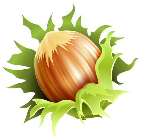 hazelnut clipart - Google keresés | Hydrangea wall art, Clip art, Hazelnut