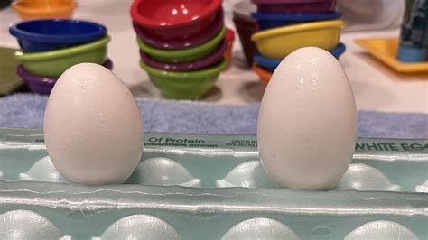 This unusually long egg I got from the store. Normal egg on left. : r ...