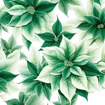 Christmas Poinsettia Green Seamless Pattern, Green Leaves, Flower Pattern, Seamless Flower PNG ...