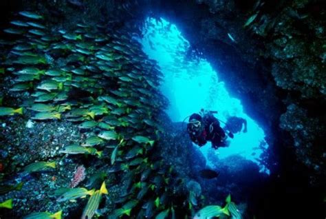 Scuba diving in Coco’s Island – Solid Car Rental