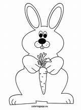 Bunny Getdrawings Carrots Sketch Coloring Page sketch template