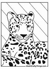Leopards Coloring Pages Updated 2021 sketch template