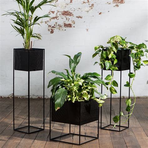 Redfox & Wilcox Perforated Planter Box Tall Black | Planter boxes, Plant decor, Planters