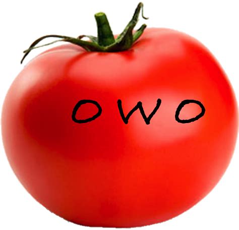 Download HD Owo Tomato - Single Fruits And Vegetables Transparent PNG Image - NicePNG.com