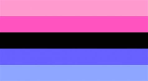 Pin on Pride Flags