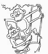 25 Free Monkey Coloring Pages For Kids And Adults sketch template