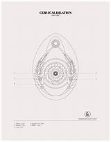 Uterus Coloring Pages sketch template