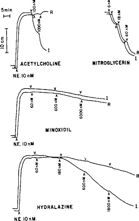 Figure 1 from Endothelial Mechanism in the Vascular Action of Hydralazine | Semantic Scholar