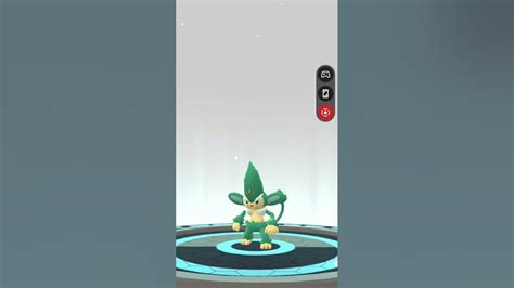 shiny pansage evolution - YouTube