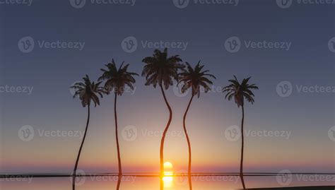 palm trees in tropical sunset 3016139 Stock Photo at Vecteezy