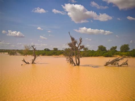 NIGER: After the deadly floods, the Niger River is at rest | Afrik 21