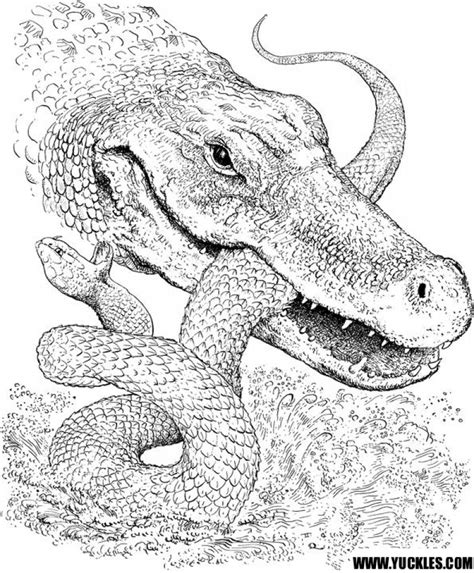 Get This Free Simple Alligator Coloring Pages for Children af8vj