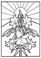 Coloring Pages  Easter Lilies Page sketch template