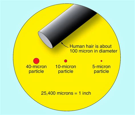 Inspirasi Terpopuler 41+ 1 Micron Diameter