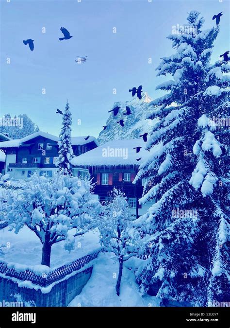 Winter in Grindelwald, Switzerland Stock Photo - Alamy