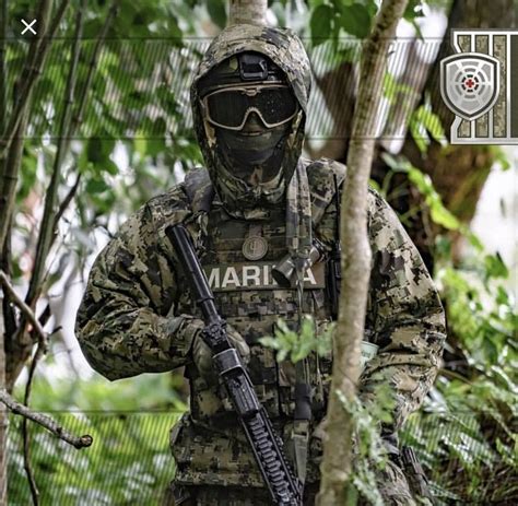 Mexican Marine in jungle | Fuerzas especiales de mexico, Marina armada de mexico, Armada de mexico