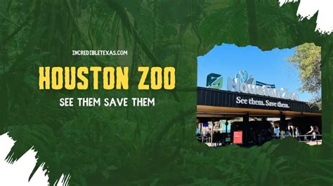 Houston Zoo Tickets, Hours, Map, Free Days, Price, Lights, Parking Details In 2024