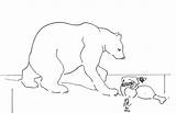 Arctic Animals Coloring  Home sketch template