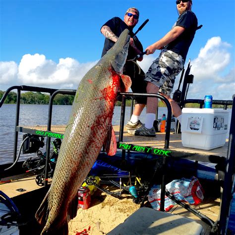 Extreme Bowfishing | 7' 7" Trophy Alligator Gar!!! - Extreme Bowfishing