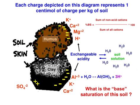 Soil acidity