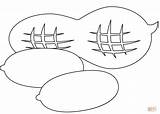 Dibujo De Maní Para Colorear  Dibujos Imprimir Gratis sketch template