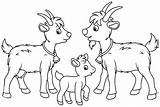 Cute Goat Family coloring Page  Download Print Or Color Online For Free sketch template