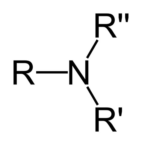 Difference Between Primary Secondary and Tertiary Amines |Definition, Basicity, Examples ...