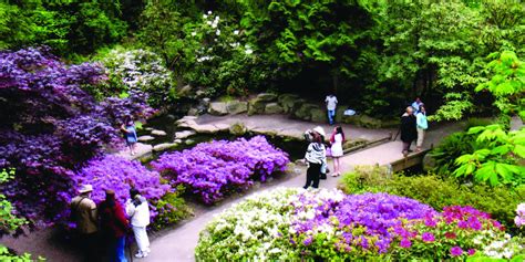 Crystal Springs Rhododendron Garden | Portland.gov