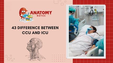 icu full form in medical Archives - Anatomy Notes