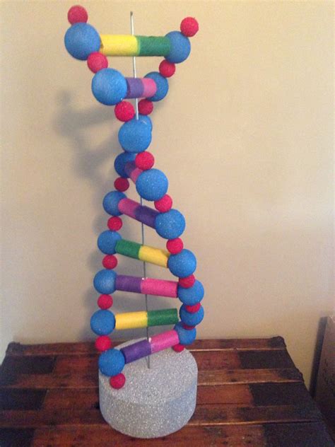 DNA High School Project 2016 | Dna model project, High school project, Dna project