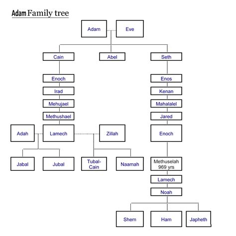 Family Tree Of Adam