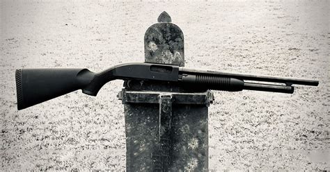 Mossberg 20 Gauge Shotgun Price