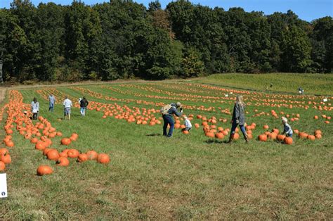 Fall Festivals Near Me: Pittsburgh Fall Festivals 2022