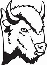 Free Coloring Pages Buffalo sketch template