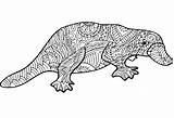 Platypus Zentangle sketch template