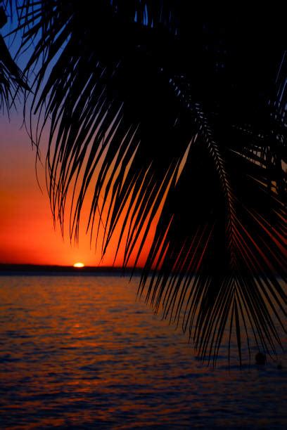 Haiti Beaches Silhouette Stock Photos, Pictures & Royalty-Free Images - iStock