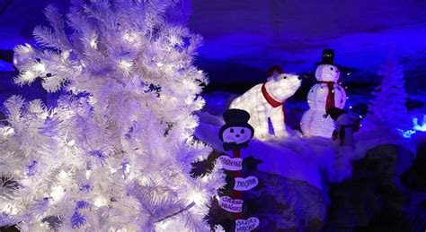 Christmas 2023: 5 must-see holiday lights shows in the Birmingham area