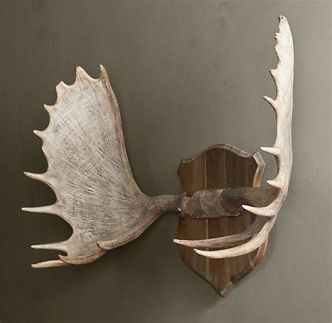 Moose Antlers in Cast Resin | Moose antlers, Moose head decor, Antlers