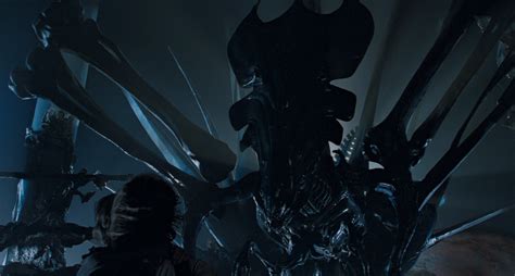 ‘Alien’: Every Stage in the Xenomorph’s Gruesome Life Cycle | IndieWire