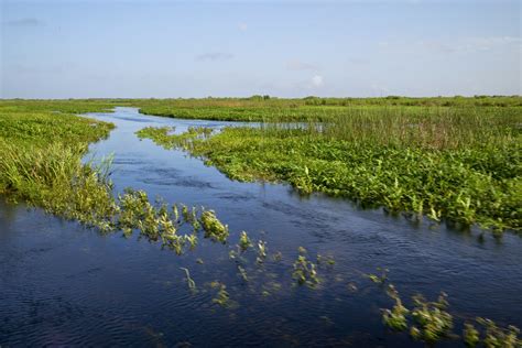 Water Log: Kissimmee River, Florida, Straightened and Unstraightened