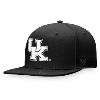 Men's Nike Kentucky Wildcats Triple Black Performance Fitted Hat