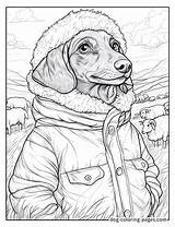 Coloring Pages Of Wiener Dogs – 12 Free Printable Designs For Fun sketch template
