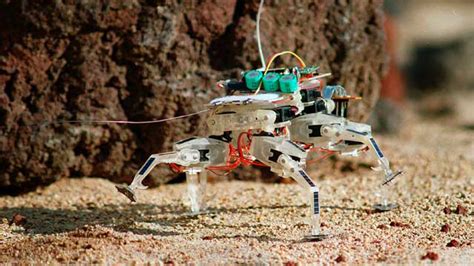 Student Project: Design a Robotic Insect | NASA/JPL Edu