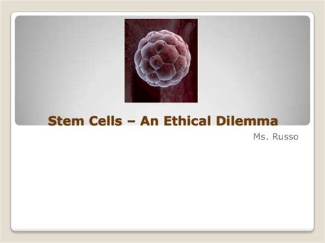 Stem Cell Ethics