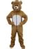 Brown Bear Mascot Costume For An Adult | Bear Mascot