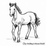 Miniature Horse Coloring Pages  Free & Printable sketch template